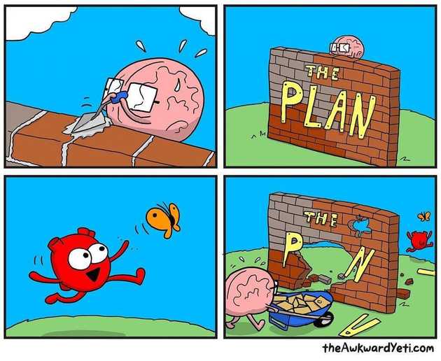 the plan
